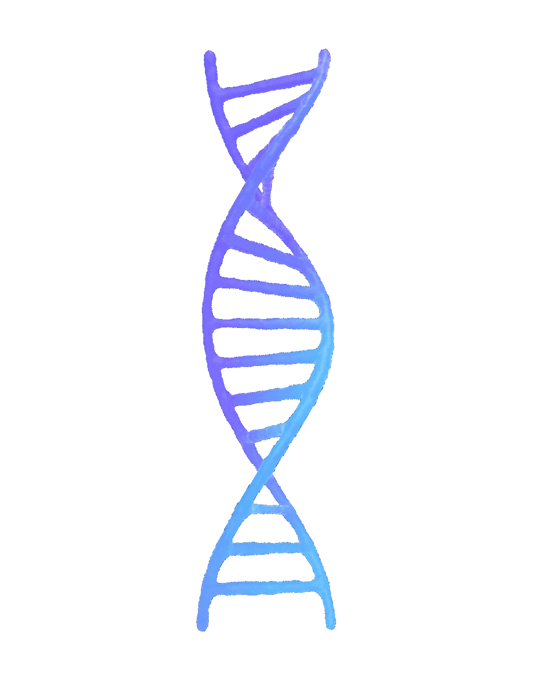 About Gaya DNA Animation 3D
